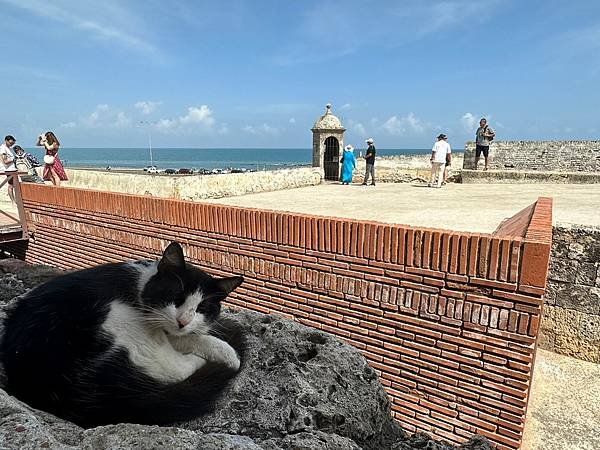 哥倫比亞 卡塔赫納 Cartagena, Colombia 