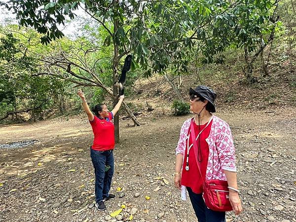 哥斯大黎加 蓬塔雷納斯 Puntarenas, Costa 