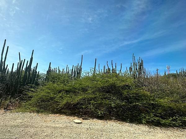 博內爾島  Bonaire 2023/04/19〈中美洲巴拿