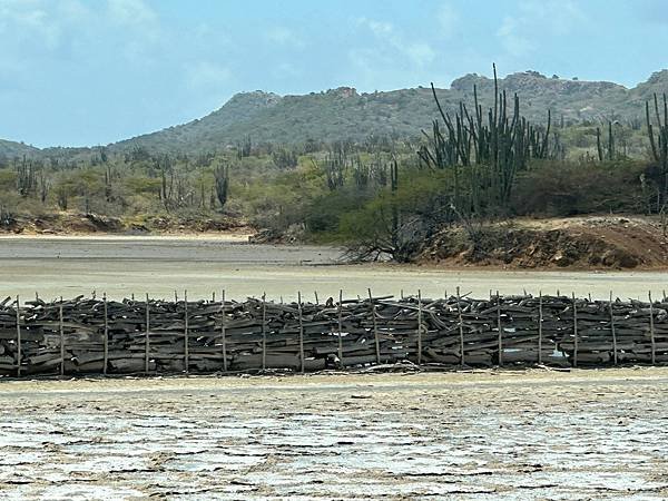 博內爾島  Bonaire 2023/04/19〈中美洲巴拿