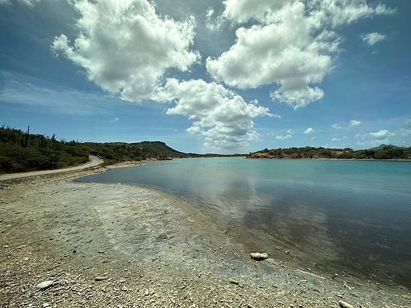 博內爾島  Bonaire 2023/04/19〈中美洲巴拿