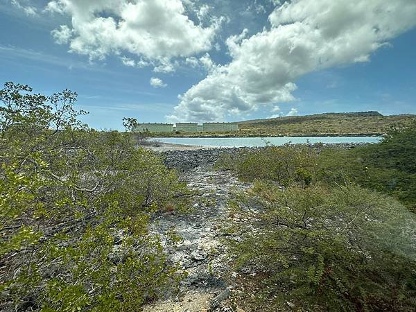 博內爾島  Bonaire 2023/04/19〈中美洲巴拿