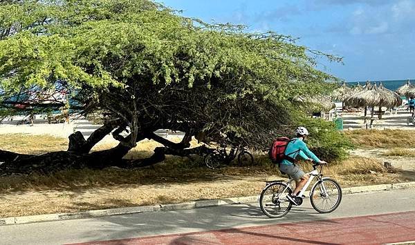 阿魯巴島 Aruba 2023/04/20〈中美洲巴拿馬運河