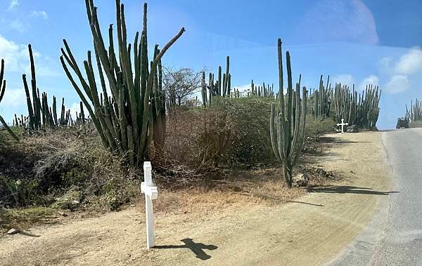 阿魯巴島 Aruba 2023/04/20〈中美洲巴拿馬運河