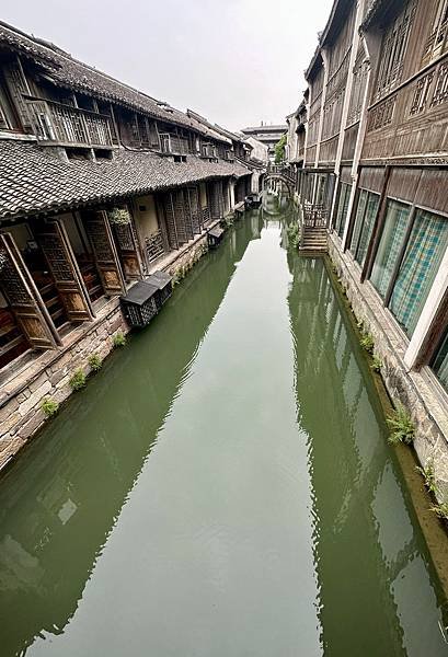 江南烏鎮 東柵景區遊 2023/06/04