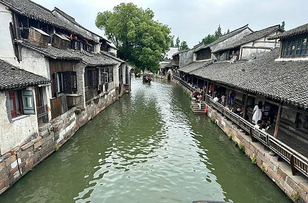 江南烏鎮 東柵景區遊 2023/06/04