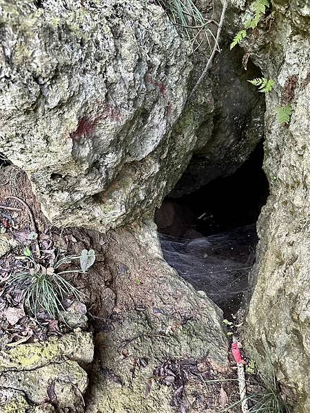 LINE_ALBUM_2023626_230626_19.jpg