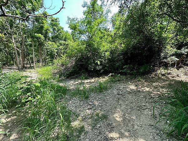 LINE_ALBUM_2023626_230626_81.jpg