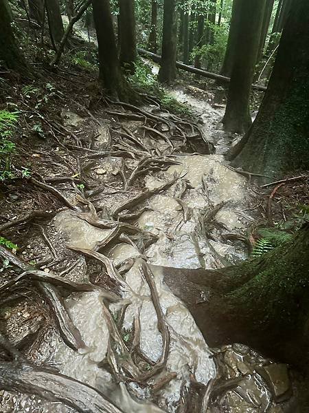 小百岳＃034 苗栗加里山（鹿場登山口） 2023/06/2