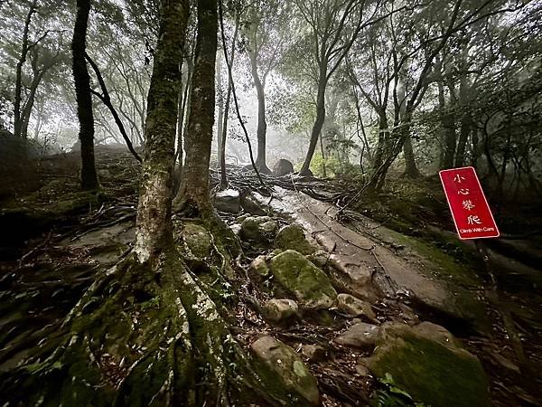 小百岳＃034 苗栗加里山（鹿場登山口） 2023/06/2