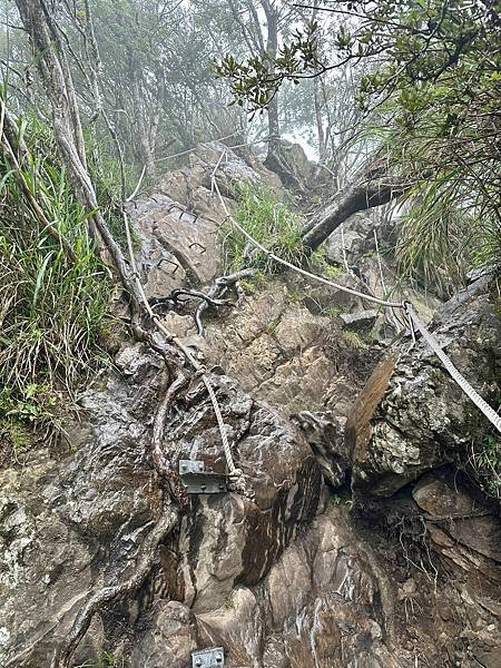 小百岳＃034 苗栗加里山（鹿場登山口） 2023/06/2