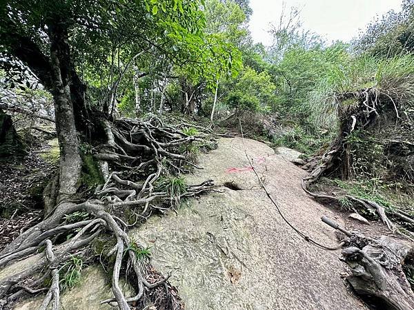 小百岳＃034 苗栗加里山（鹿場登山口） 2023/06/2