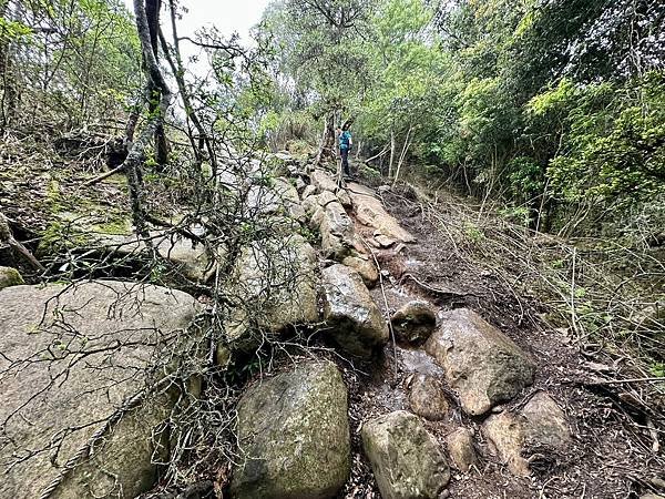 小百岳＃034 苗栗加里山（鹿場登山口） 2023/06/2