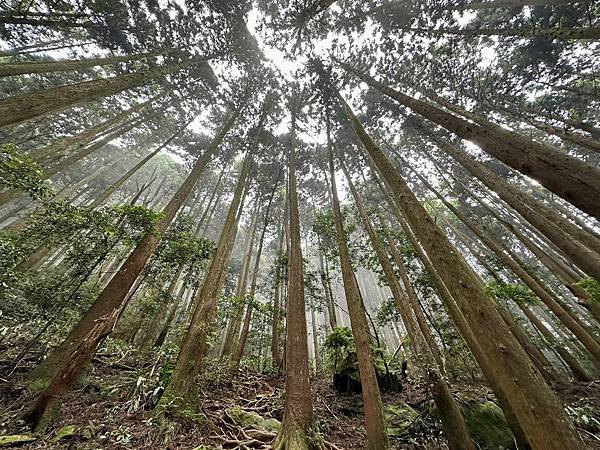 小百岳＃034 苗栗加里山（鹿場登山口） 2023/06/2