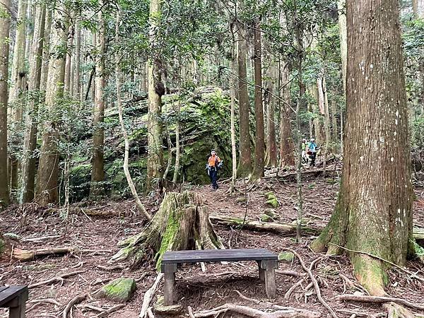 小百岳＃034 苗栗加里山（鹿場登山口） 2023/06/2