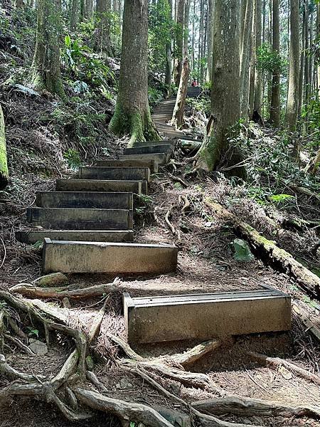 小百岳＃034 苗栗加里山（鹿場登山口） 2023/06/2