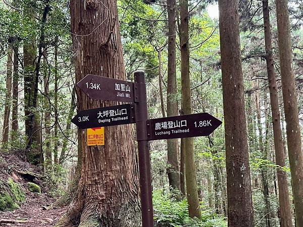 小百岳＃034 苗栗加里山（鹿場登山口） 2023/06/2