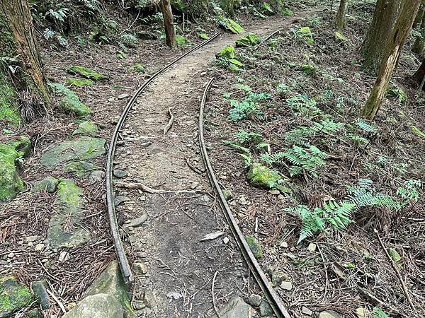 小百岳＃034 苗栗加里山（鹿場登山口） 2023/06/2