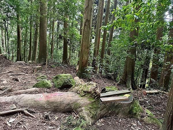 小百岳＃034 苗栗加里山（鹿場登山口） 2023/06/2