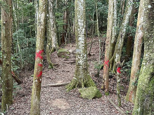 小百岳＃034 苗栗加里山（鹿場登山口） 2023/06/2