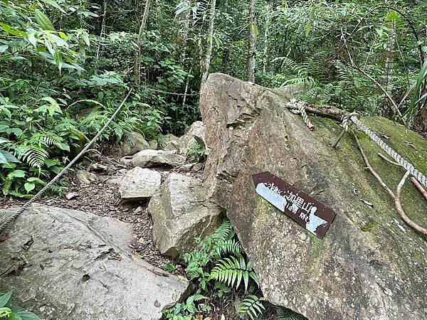 小百岳＃034 苗栗加里山（鹿場登山口） 2023/06/2