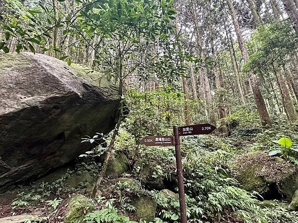 小百岳＃034 苗栗加里山（鹿場登山口） 2023/06/2