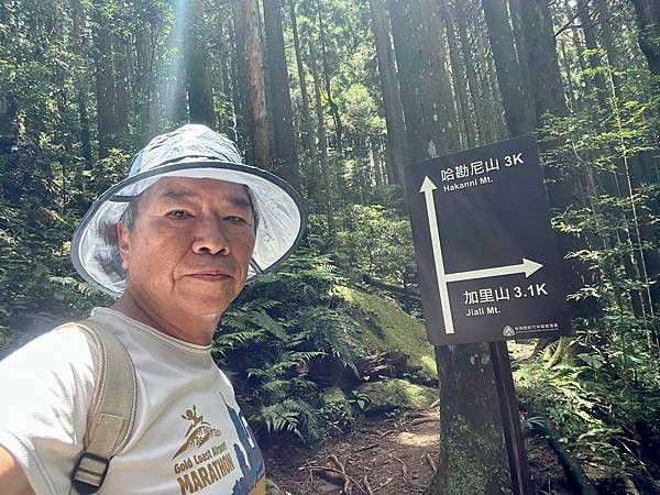 小百岳＃034 苗栗加里山（鹿場登山口） 2023/06/2