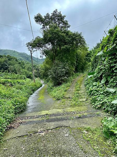 LINE_ALBUM_大湖尖山、紅毛埤山小百岳20230824_230825_6.jpg