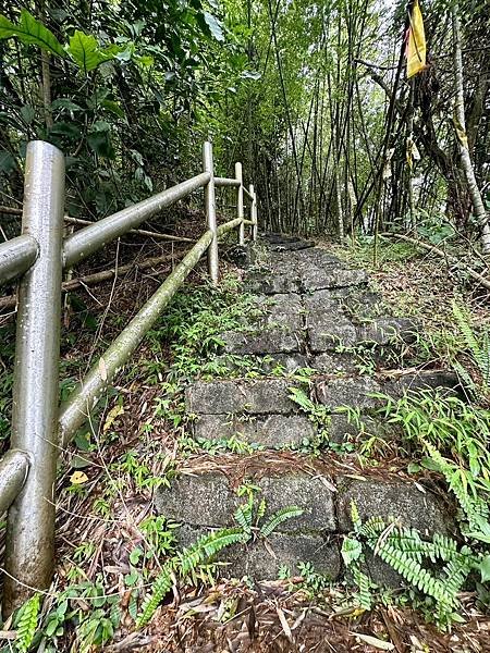 LINE_ALBUM_大湖尖山、紅毛埤山小百岳20230824_230825_15.jpg