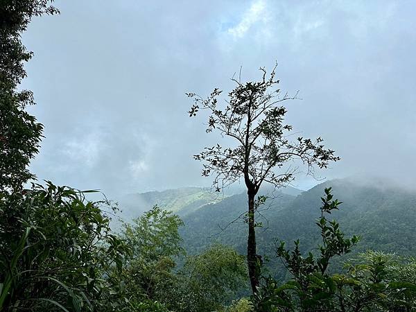 LINE_ALBUM_大湖尖山、紅毛埤山小百岳20230824_230825_25.jpg