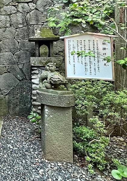 2023 長崎（鎮西大社 諏訪神社）遊輪六日遊之二、