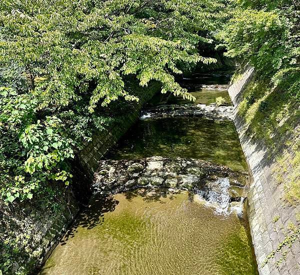 2023 鹿兒島（仙巖園）遊輪六日遊之四