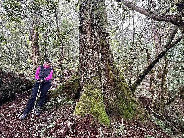 LINE_ALBUM_20231010-11合歡北峰、卡拉寶山_231012_83.jpg