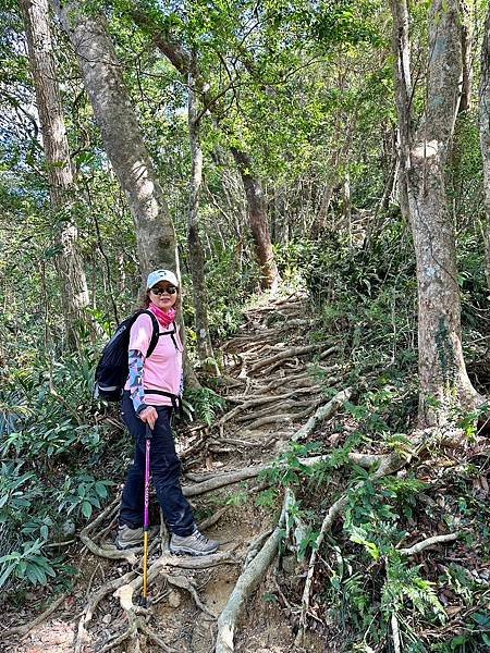 小百岳＃080 里龍山二刷 2023/11/21