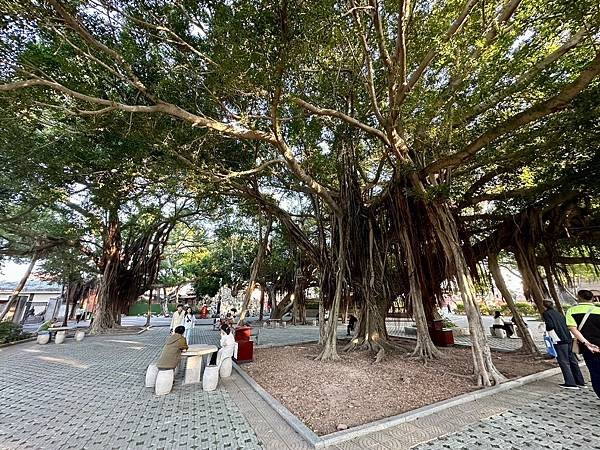 泉州 開元寺、東湖公園遊誌〈廈門、泉州五日遊 2023/12