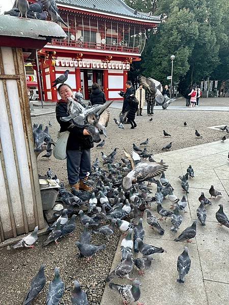 大須觀音寺、大須商店街（日本三重家族遊 2024/01/20