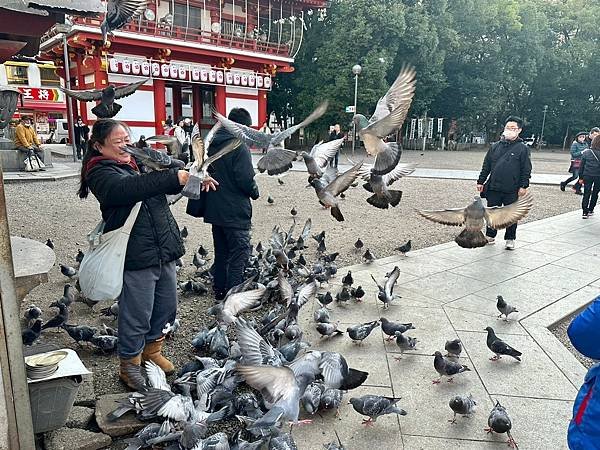 大須觀音寺、大須商店街（日本三重家族遊 2024/01/20