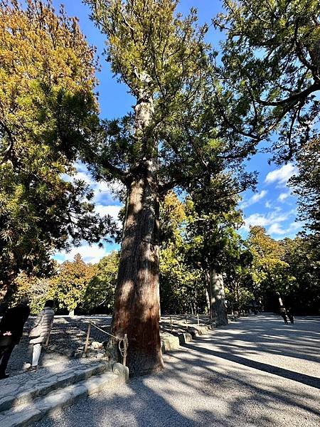 三重縣 伊勢神宮、伊勢夫婦岩、（日本三重家族遊 2024/0