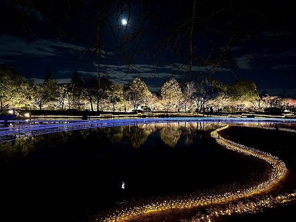 椿大神社、名花之里（日本三重家族遊 2024/01/20 -