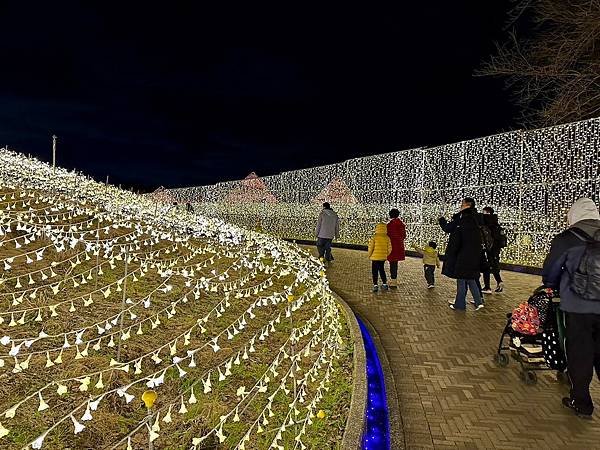 椿大神社、名花之里（日本三重家族遊 2024/01/20 -