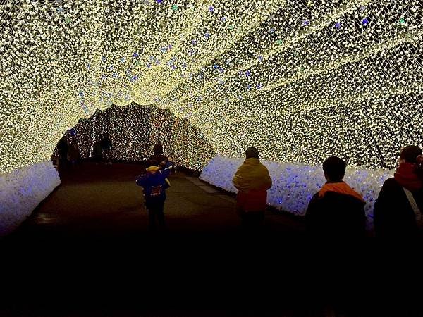 椿大神社、名花之里（日本三重家族遊 2024/01/20 -