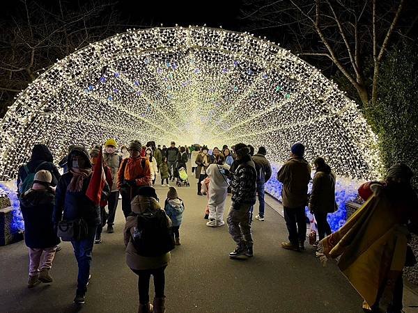 椿大神社、名花之里（日本三重家族遊 2024/01/20 -