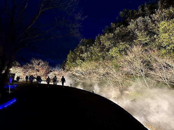 椿大神社、名花之里（日本三重家族遊 2024/01/20 -