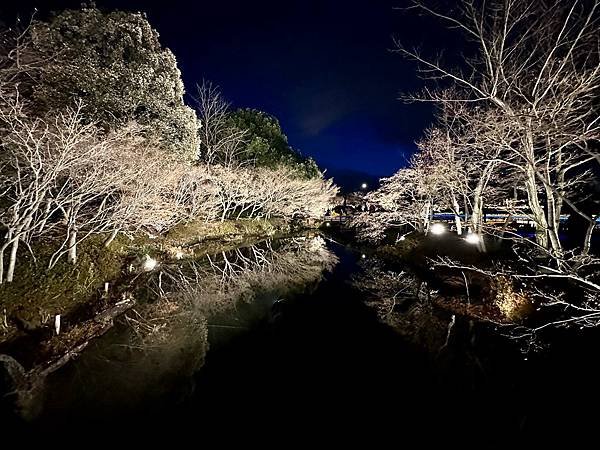 椿大神社、名花之里（日本三重家族遊 2024/01/20 -