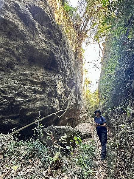 北柴山秘境 迴旋谷、一線天、大深谷 2024/02/29