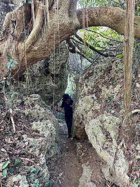 北柴山秘境 迴旋谷、一線天、大深谷 2024/02/29