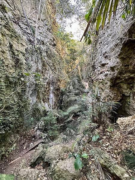 北柴山秘境 迴旋谷、一線天、大深谷 2024/02/29