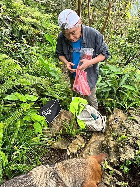 LINE_ALBUM_0309-031024月眉山、八里灣山_240312_10.jpg