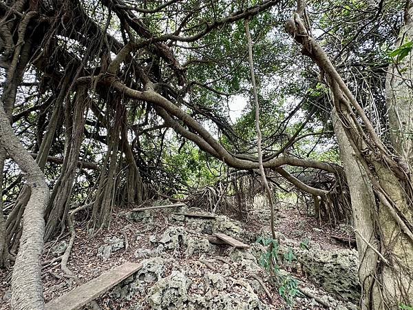 北柴山 神龍谷、金瓜洞〈北峰極樂洞、神龍谷、金瓜洞登遊誌之二