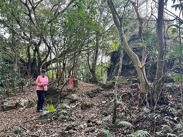 小百岳＃66 西阿里關山、茅山南峰二刷（2024/03/20